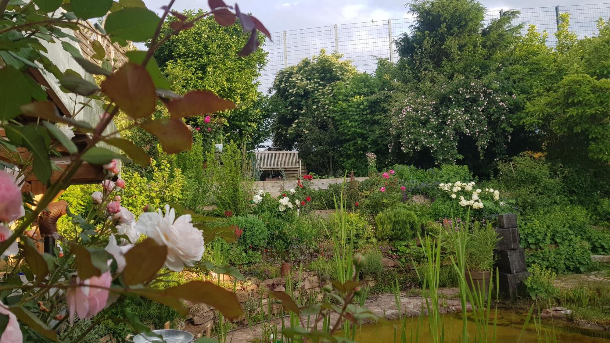 Wohnung Mit Sauna, Garten & Schwimmteich Bietigheim-Bissingen Eksteriør billede