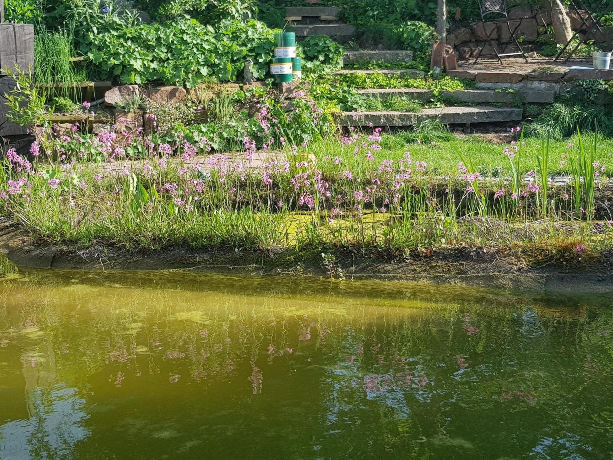 Wohnung Mit Sauna, Garten & Schwimmteich Bietigheim-Bissingen Eksteriør billede