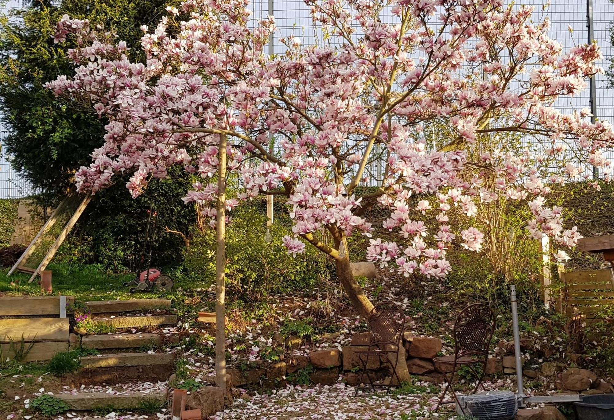 Wohnung Mit Sauna, Garten & Schwimmteich Bietigheim-Bissingen Eksteriør billede